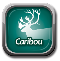 Caribou Logo Caribou Logo