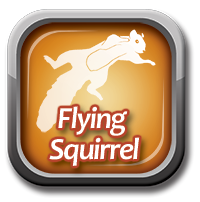 Flying Squirrel Logo Flying Squirrel Logo