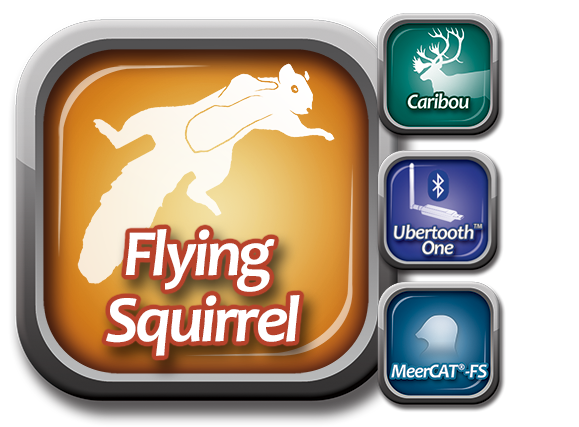 Flying Squirrel Suite Logo Flying Squirrel Suite Logo